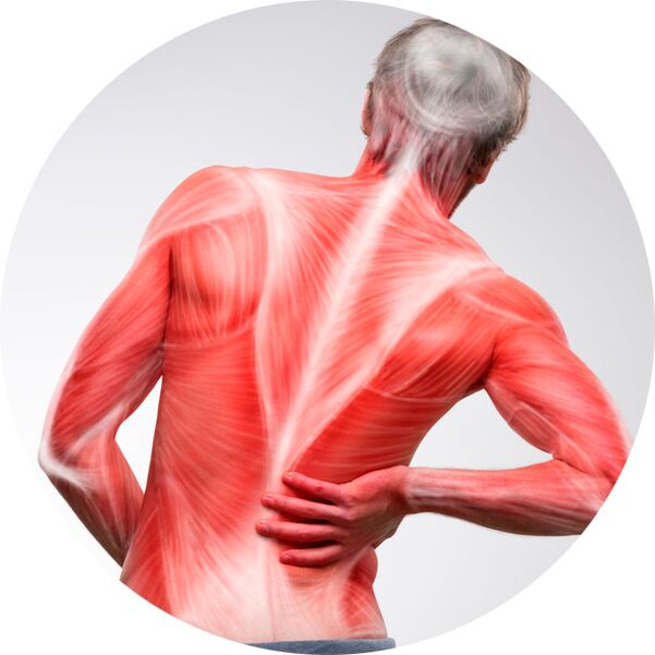 Гърбът е често срещан източник на болки в мускулите и ставите за повечето хора.